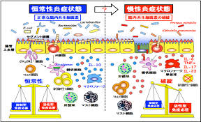 「口内細菌で腸の潰瘍誘発」の画像検索結果