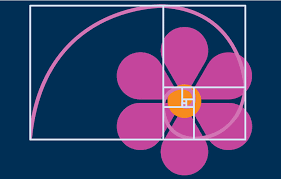 Find the latest tracks, albums, and images from fibonacci us band fibonacci sequence was formed sometime around 2007, initially consisting of michael j. Nature S Mathterpiece The Fibonacci Sequence