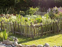 Afbeeldingsresultaat Voor Bauerngarten Farm Gardens Cool Plants Garden Drawing