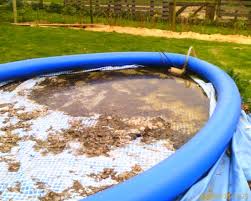 Das Aquapool Schwimmbad Forum Intex Quick Up Auch Erfolgreich Uberwintert