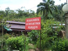 Nasuha herbs is on facebook. Nasuha Bin Kasian Pemilik Ladang Herba Terbesar Di Asia Imbalo Namaku