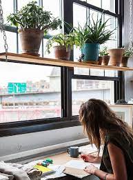 What's a plant shelf you ask? 8 Window Shelf Ideas Window Shelves Kitchen Window Plant Shelves