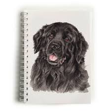 Maybe you would like to learn more about one of these? Newfoundland Dog Notebook Nbk 211 Waggydogz