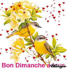 Bon Dimanche GIFs - Get the best GIF on GIPHY