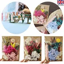 The most common dried flower soap material is silicone. 2 Bag Real Pressed Dried Flowers Petals For Soap Making Nails Art Resin Jewelry 7 21 Picclick Uk