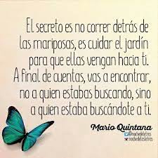 El Secreto Es Nocorrer Detras De Las Mariposas Es Cuidar El Jardin Para Que Ellas Vengan Hacia Ti Frases De Amor Libros Frases Bonitas Frases Sabias