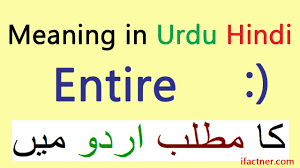 Entire Meaning In Urdu Online English To Hindi Urdu Translation Lesson Youtube