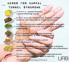 Herbs For Carpal Tunnel Syndrome Carpal Tunnel Carpal Tunnel Syndrome Herbs