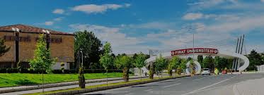Curriculum | Fırat University