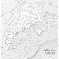 Gulf Of Maine Council Organizational Chart 104 Download