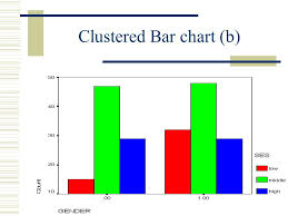 Graphs With Spss Aravinda Guntupalli Bar Charts Bar