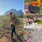 Growing Beauty Without Pesticides, by Anja Taschner event image