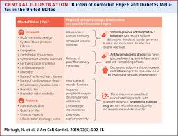 Electrocardiography (ekg, or ecg):an ekg tracks the electrical activity of the heart. Heart Failure With Preserved Ejection Fraction And Diabetes Jacc State Of The Art Review Sciencedirect