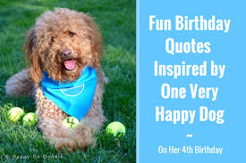 I love sending funny happy birthday memes to my friends and family on their birthday. 40 Fun Birthday Quotes From A Ridiculously Happy Birthday Dog