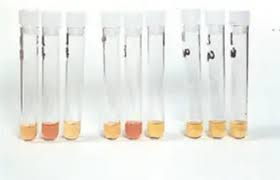 Image result for Ham Test