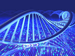 Each nucleotide consists of a nitrogenous base, a. Custom Dna Or Rna Synthesis Service Amsbio