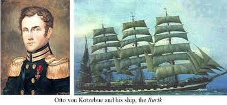 Image result for Kotschya