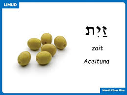 Pin De Marianne Petra Koster En Hebreo Hebreos Biblicos Religion