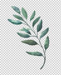Watercolor Painting Leaf Drawing Png Autumn Leaves Blackish Blackish Green Branch Cartoon In 2020 Leaf Drawing Watercolor Paintings Drawings There are two ways to draw leaves.