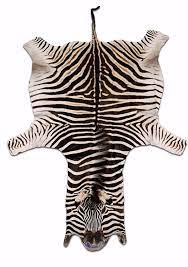 Please click on store to enter. Pin On Cowhide Rugs