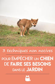 Comment Eviter Que Les Chiens Fassent Leurs Besoins Dans Le Jardin 3 Techniques Repulsif Chien Chien Jardin Pour Chien