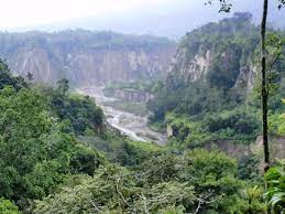 We did not find results for: Ngarai Sianok Picture Of Bukittinggi West Sumatra Tripadvisor