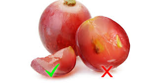 We did not find results for: Lebih Baik Mana Buah Apel Atau Anggur Untuk Anak Kumparan Com