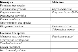 Image result for Macphersonia