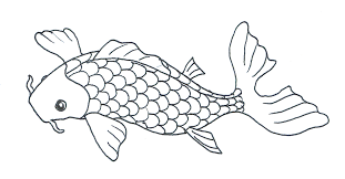 Colored pencils video standard printable step by step. Colorful Koi Fish Drawings