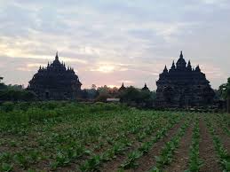 We did not find results for: Plaosan Temple Twin Temple Love Temple Candi Plaosan Yogyakarta Jogja Backpacker S Guide