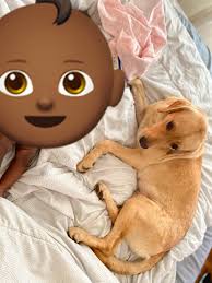 Dixie missing from Collinsville, MS