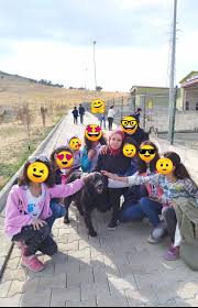 Dogayi Seviyorum Cevremi Koruyorum Adli Etwinning Projemize Eylul Ayinda Van Edremit Yunus Emre Ortaokulu 7 E Sinifi Ogrenc Hayvan Barinagi Hayvan Ogretmenler