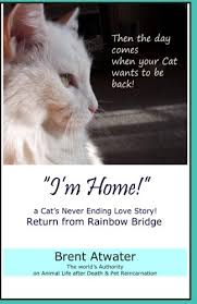 Nothing can prepare you for losing a pet. I M Home A Cat S Never Ending Love Story Pets Past Lives Animal Reincarnation Animal Communication Animals Soul Contracts Animals Afterlife Animals Spirits Atwater Brent 9781463578268 Amazon Com Books