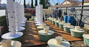 trồng rau thủy canh sử dụng điện mặt trời