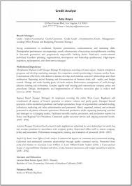 Credit Analyst Resume Template