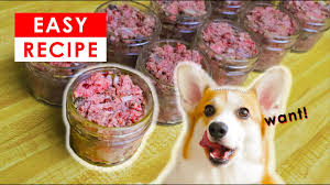 One of the biggest is that you have complete control over what your canine companion is consuming. Best Homemade Raw Dog Food Recipes Made Easy Youtube