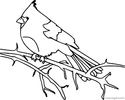 Select from 33184 printable coloring pages of cartoons, animals, nature, bible and many more. Northern Cardinal On The Tree Coloring Page Coloringall