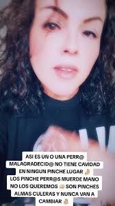 No Les Pegues A Los Perros Padrino