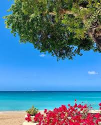 Beautiful Barbados