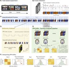 We did not find results for: Time Resolved Effective Connectivity In Task Fmri Psychophysiological Interactions Of Co Activation Patterns Sciencedirect