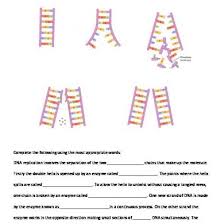 Explore dna structure/function, chromosomes, genes, and traits on this vid and find out how this relates to this worksheet is useful in helping the students assess their familiarity with the different parts of the. Stpm Biology Dna Structure And Replication Question Bank Ylyxo6d19qnm