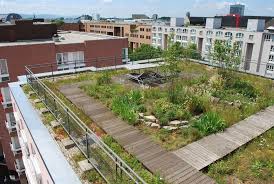 Grun Bedacht Flachdach Begrunung Dachterrasse Begrunen Dachbegrunung