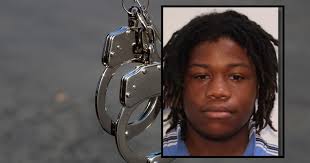 Suspect taken into custody for Alene Circle shooting