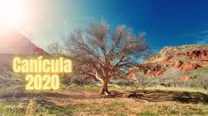 Governors will be elected in the states of baja california, baja california sur, chihuahua, colima, guerrero. Que Es La Canicula Cuando Empieza En Mexico Y Cuanto Dura Union Guanajuato