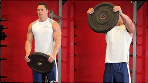 The trapezius, erector spinae, biceps, pectorals, rotator cuff, serratus anterior and abs are examples. The Front Plate Raise Get Strong