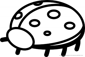Dessin Fliegender Marienkäfer Malvorlage News Blog
