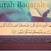 And for sabr, the reward is. 1