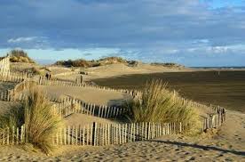 Grand Site De France De La Camargue Gardoise Vauvert Paysage De Camargue Camargue Plage De Reve