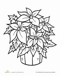 We have collected 38+ coloring page poinsettia flower images of various designs for you to color. Poinsettia Plant Worksheet Education Com