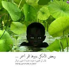 أنا م عتم يا صديقي ولست موطنا آم نا كما تظ ن ولاأقدر أن أكون لك الم نفى في هذه الحياة ف أنا أغرق في حزني ك ل Plant Leaves Pics Lsu